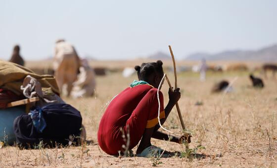 Sudan: Atrocities ‘repeated town by town’, ICC prosecutor tells UN Security Council